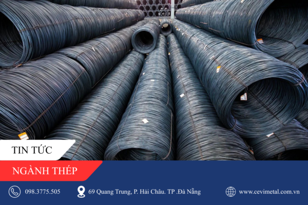 TIN TỨC